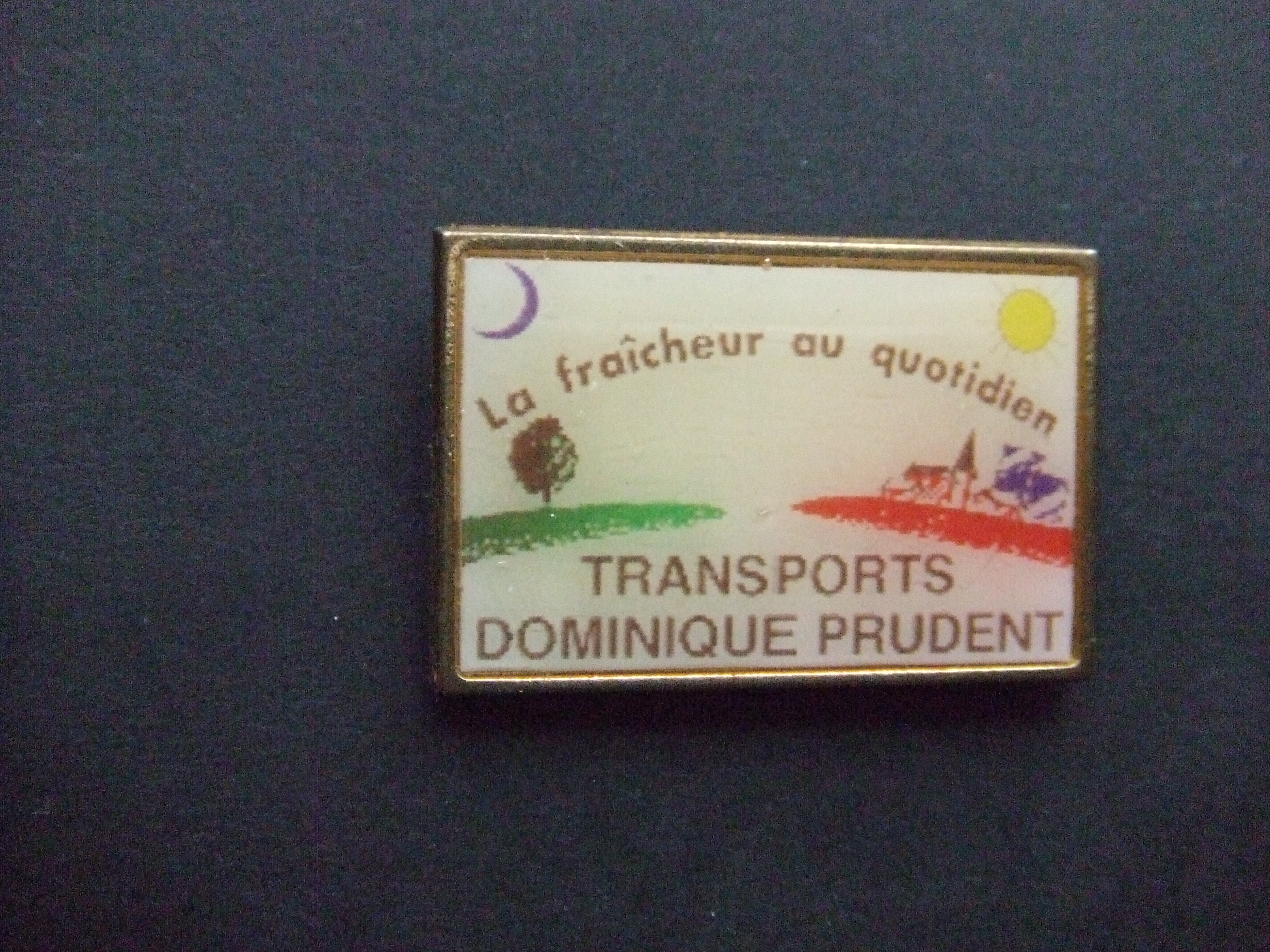 Transports Dominique Prudent transportkoeling Frankrijk